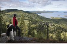 環境にやさしい観光活動を促す「サステナブル・トラベル・フィンランド プログラム」