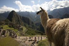 ペルーのマチュピチュが、旅の口コミサイト　トリップアドバイザー®発表の「トラベラーズチョイス　世界の人気観光スポット2013」“人気のランドマーク部門”で第一位に