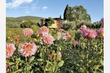 トスカーナの美しいヴィラ＆ガーデンを訪問するプラン