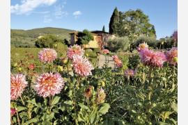 トスカーナの美しいヴィラ＆ガーデンを訪問するプラン