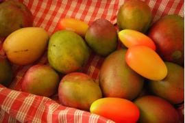 ハワイのマンゴーの美味しい季節！「マンゴー・アット・ザ・モアナ」