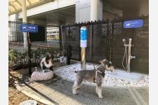 大阪国際空港内に国内空港初となる「愛犬専用トイレ」を設置