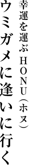 ウミガメに逢いに行く 幸運を運ぶHONU（ホヌ）