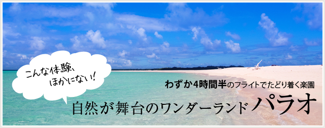 オアフの美味しい今を知る