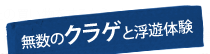 無数のクラゲと浮遊体験