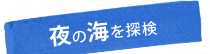 夜の海を探検