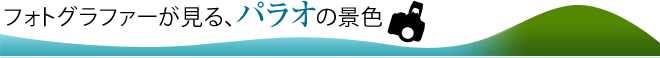 フォトグラファーが見る、パラオの景色