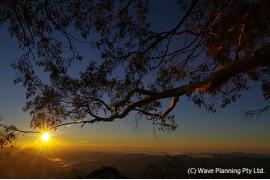 1億年前の森へ　～世界遺産の森を歩く