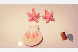 Coffee x Summer solstice / Amsterdam 夏至の朝