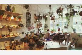 Coffee x Grexit? Amsterdam DIY
