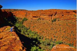もうひとつの“世界の中心”、息を呑む絶景！キングス・キャニオン
