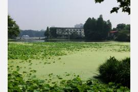 毛沢東が愛した湖畔の別荘地から地元っ子のデートコースまで、武漢市内を散策