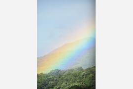 屋久島はレインボーに染まって