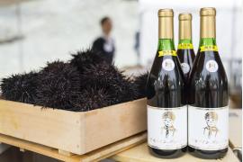食と絶景の宝庫！世界有数のジオが魅せる下北エリアの旅