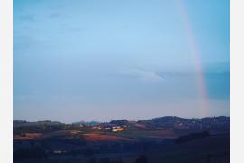 Coffee x Alfiano Natta Italy