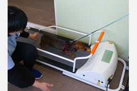 目の前が海！一度は愛犬と訪れたいレジーナリゾート鴨川 vol.4