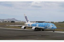 ANAホノルル線A380『FLYING HONU』搭乗記 【前編】エコノミークラスとプレミアムエコノミーの乗り心地を検証