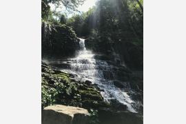 沖縄・離島ホッピングの旅　＃02 世界自然遺産の島・西表島でトレッキング！