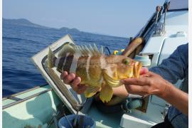 島旅・五島　#４ 釣り人あこがれの聖地で大物をキャッチ！