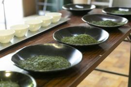 日本茶の味わいが増す「合組（ごうぐみ）」とは？　～お茶を識る、駿河の旅①～
