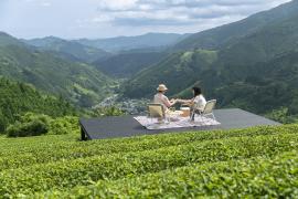 注目の和紅茶、それとも希少な山のお茶？　見て、味わって楽しむ、絶景茶畑でティータイム　～お茶を識る、駿河の旅②～