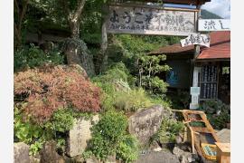 【岐阜県中津川観光】③ 森林浴と名水の付知峡