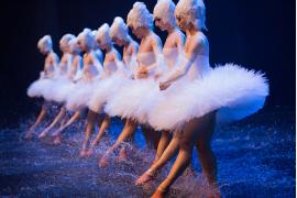 SWAN LAKE ON WATER ～ついに、ほんとうの水を得た『白鳥の湖』～、ウクライナ・グランド・バレエ団によるエンタテインメント・バレエが初来日