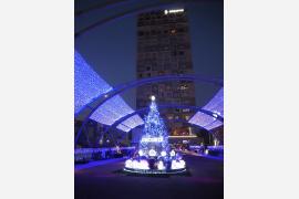 クリスマスツリー、照らした光が紫色の理由とは？　展示場所の宮下公園＝「ミヤシタパーク」にあらず！？