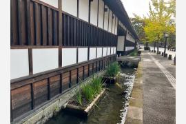 神々の国 島根・石見の旅　～②山間に佇む山陰の小京都、津和野散策