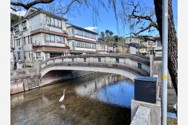 街全体を一つの宿として楽しむという城崎温泉の魅力