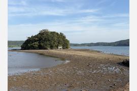 なぜ壱岐は「神々の島」と呼ばれるのか？ 神社と壱岐大大神楽を訪ねて