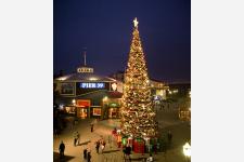サンフランシスコ「PIER39」のクリスマスツリー・ライティング