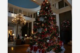 暖かいリゾート地ハワイで楽しむクリスマス
