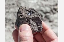 この夏は家族揃ってコロラドで恐竜の化石堀体験