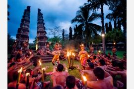 「好奇心旺盛な旅行者」に関する最新の洞察