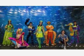 ハワイの海を舞台にしたミュージカル「ホヌ・バイ・ザ・シー」初公演