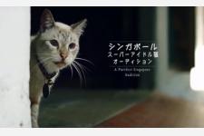 シンガポール政観公式サイトのリニューアル　抽選でシンガポール旅行も！