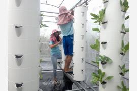 旅行とは一味違う台湾を体験！農業ボランティア参加で子どもたちを支援