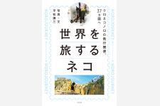 世界を旅するネコのこぼれ話の連載スタート