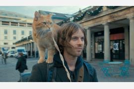 【編集部推薦映画】猫との奇跡の実話「ボブという名の猫 幸せのハイタッチ」