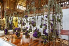 南半球最大級の園芸イベント「メルボルン国際フラワー&ガーデンショー」