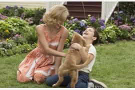 【編集部推薦映画】犬と人間のラブストーリー『僕のワンダフル・ライフ』