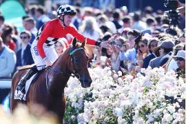 オーストラリアを釘付けにする世界最高峰の競馬イベント「メルボルンカップ・カーニバル」