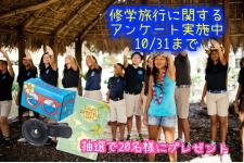 中学・高校生を対象に修学旅行に関するアンケート実施中