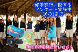 中学・高校生を対象に修学旅行に関するアンケート実施中