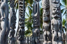 ハワイ州観光局「ALOHA PROGRAM × Coyote」を実施中
