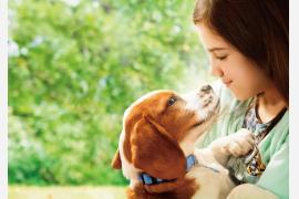 【編集部推薦映画】犬と人間のラブストーリー続編『僕のワンダフル・ジャーニー』