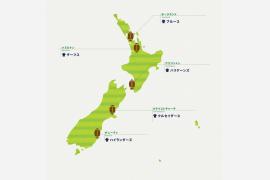 ラグビーチームで巡るニュージーランド各地を紹介