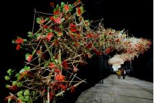 ベルギーで4年に一度の花と緑の祭典「ゲント・フロラリア」