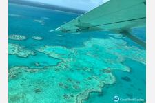 グレートバリアリーフ生息のサンゴ白化、観光地への影響はわずかな程度に